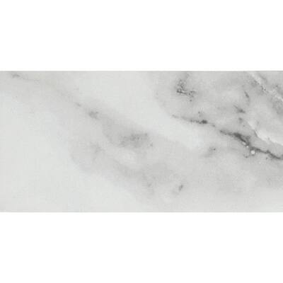 EMSER TILE Contessa Dama 23.82 in. x 23.82 in. Polished Marble Look