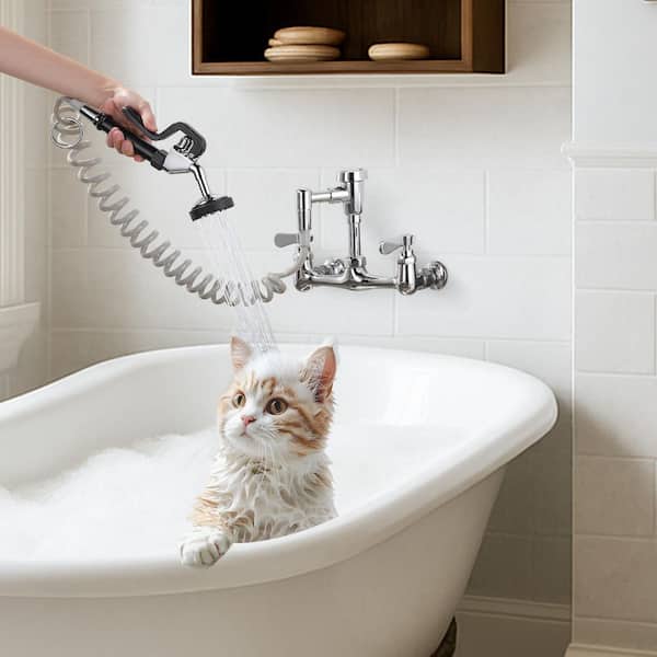 8 in. Double Handle Wall Mounted Pet Grooming Faucet in Chrome