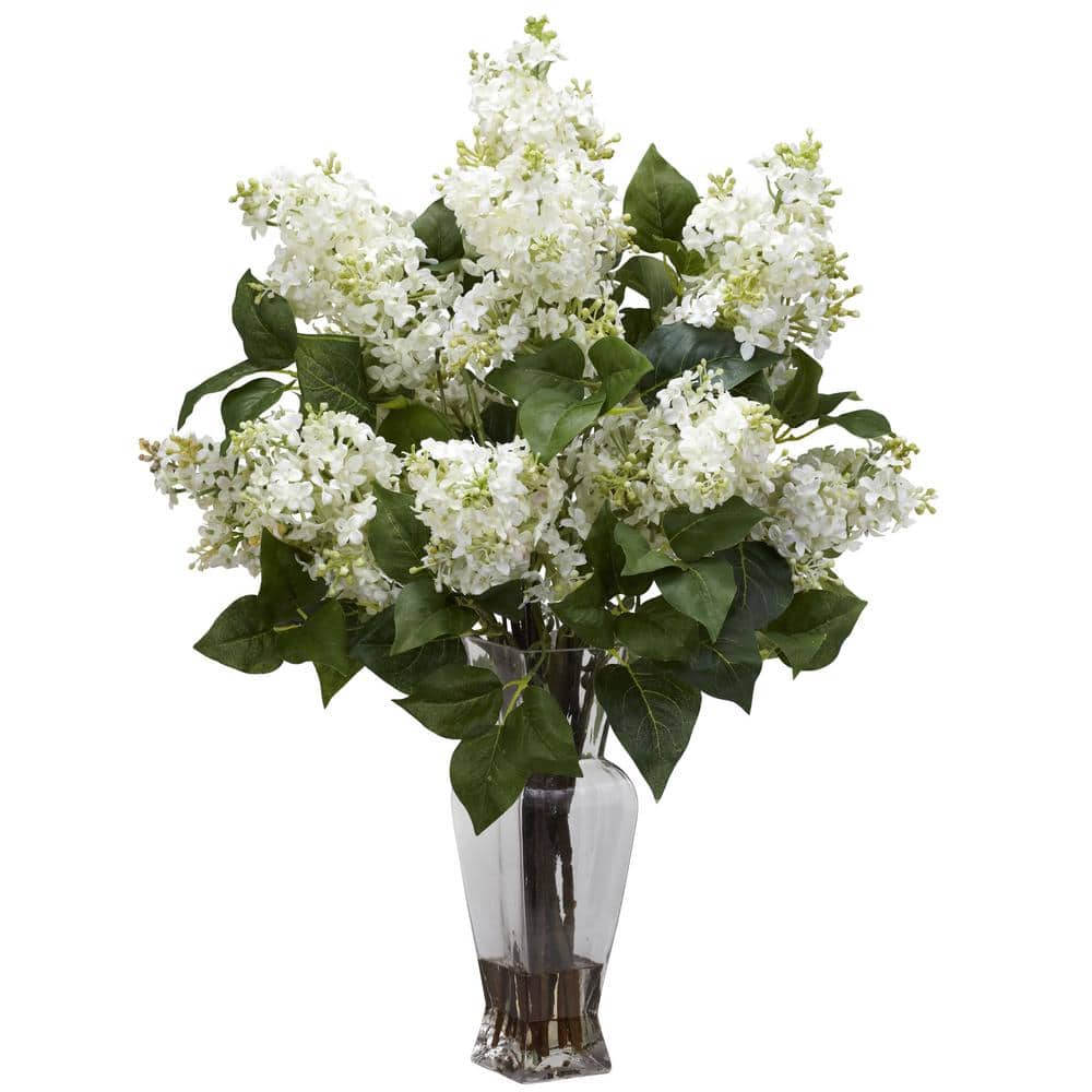 Preservative solutions extends flower vase life of lilac