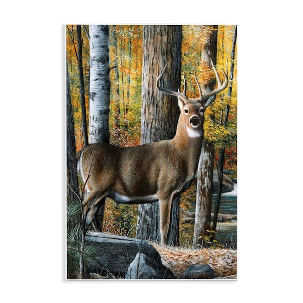 Stupell Industries Deer Among Autumn Foliage by Kevin Daniel Unframed Graphic Animal Art Print 19 in. x 13 in.