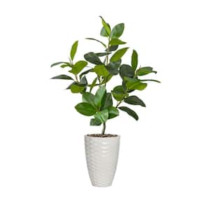 Real touch 65 in. fake Rubber tree in sustainable planter