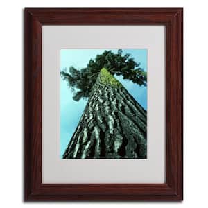 11 in. x 14 in. A Tree of Life Dark Wooden Framed Matted Art