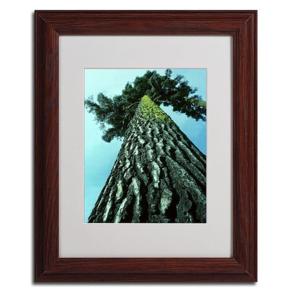 Trademark Fine Art 11 in. x 14 in. A Tree of Life Dark Wooden Framed Matted Art