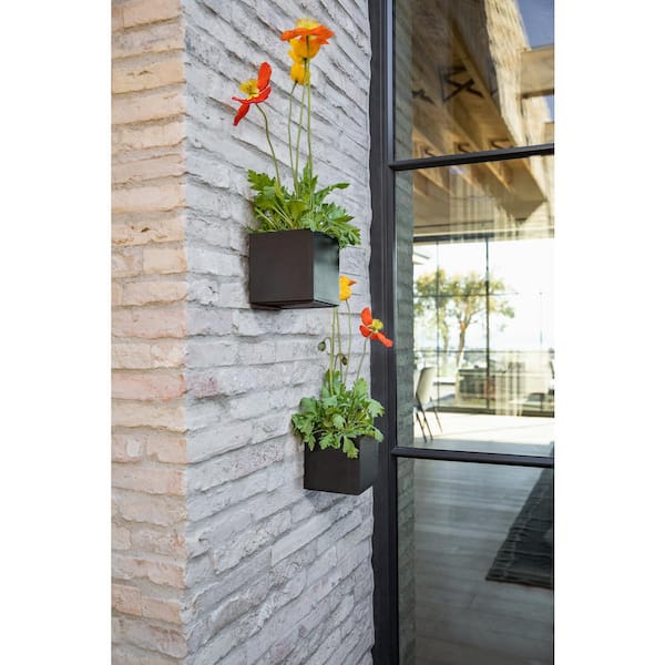Geo Small Black Plastic Cube Hanging Planter and All Weather Resistant (5 in. L x 5 in. W x 5 in. H)