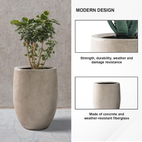 large hanging basket plants Stainless Steel Basket and Liner Set (3 Sizes Available) Henderson