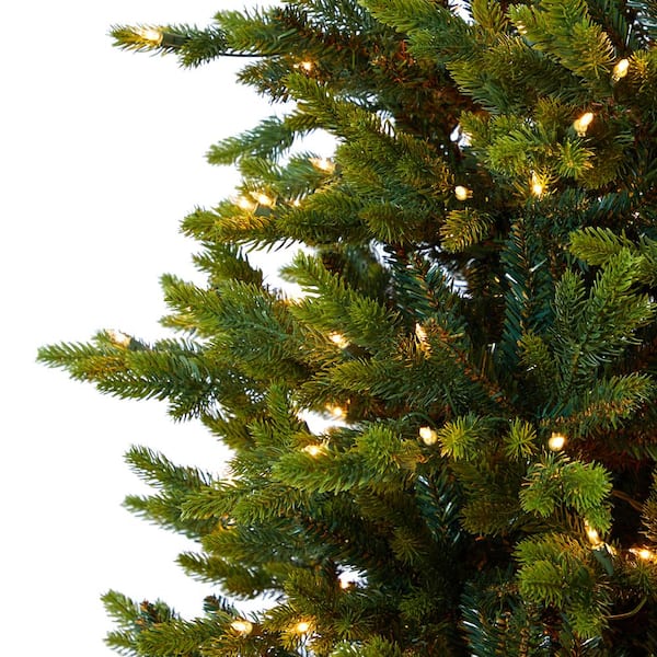Premium Photo  Evergreen branches of christmas tree in pine forest.  close-up view of fir natural fir branches ready for festive decoration for  xmas and happy new year, decorate holiday winter season
