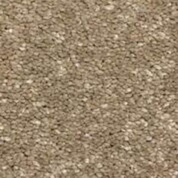 Home Decorators Collection Sycamore II - Elder - Brown 58 oz. SD Polyester Texture Installed Carpet