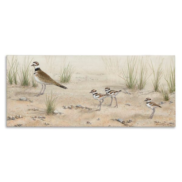 Stupell Industries Kildeer Birds Stepping by Valerie Rogers Unframed Nature Graphic Art Print 13 in. x 30 in.