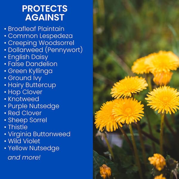 12.5 lb. 3-in-1 Weed and Feed for Southern Lawns