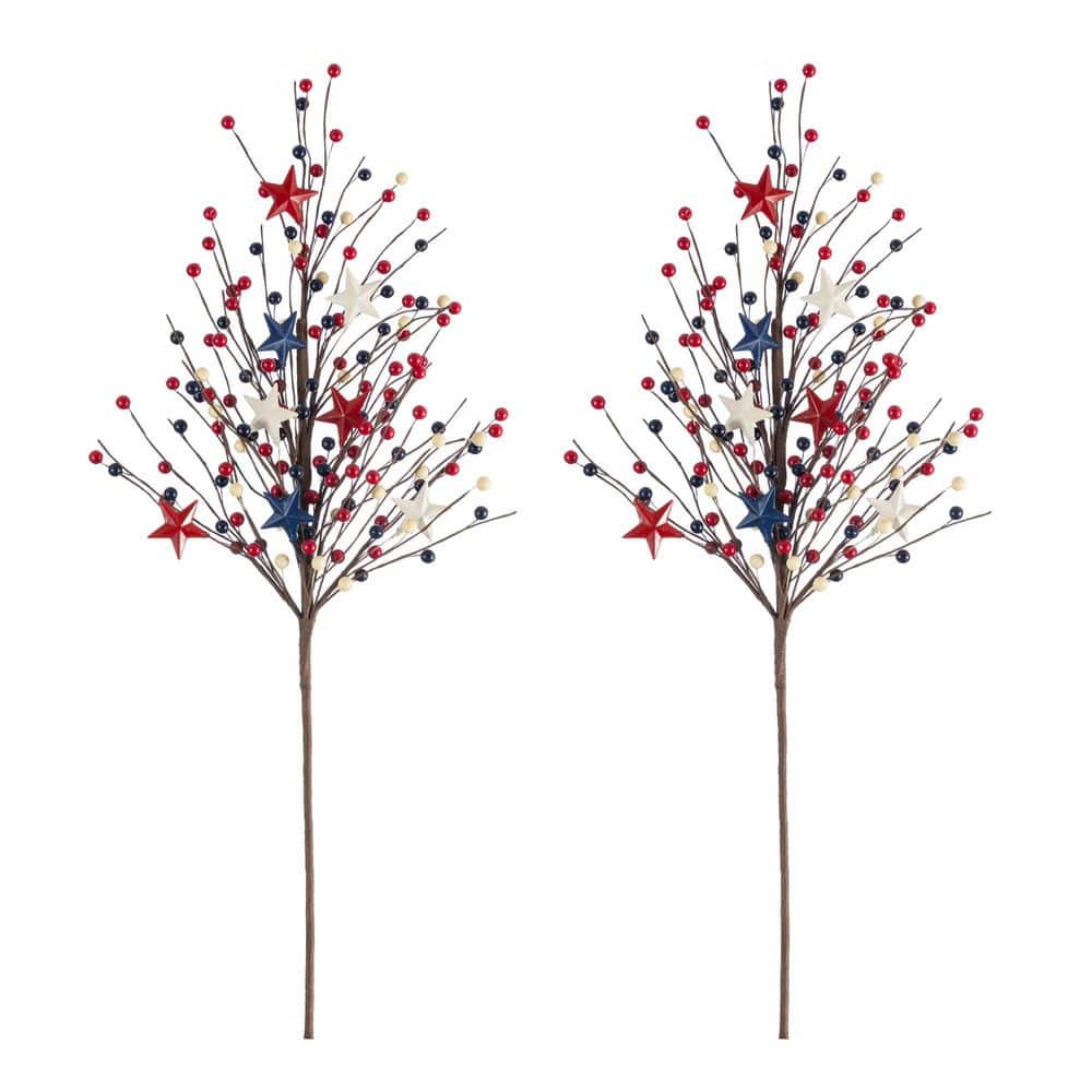 28 in. H Patriotic/ Americana Stars& Berry Picks (Set of 2) price history on PriceWatchPro