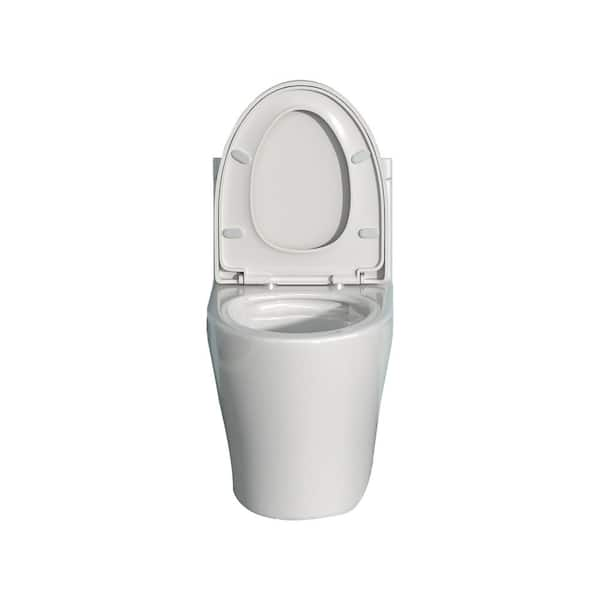 One-Piece 1.6 GPF Dual Flush Elongated Toilet in White, Seat Included  YTW124377192 - The Home Depot