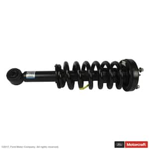 Suspension Strut and Coil Spring Assembly