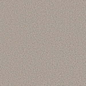 Piece Of Cake Seashell Beige 33 oz. Solution Dyed Polyester Texture Installed Carpet