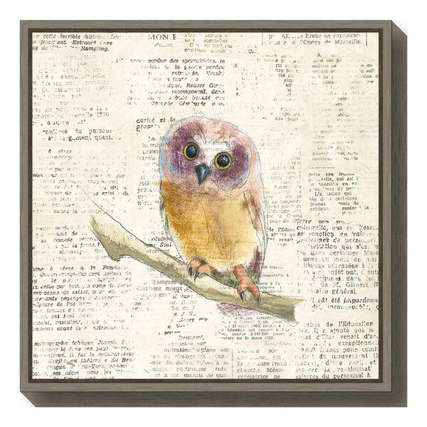 Amanti Art "Into the Woods II no Border (Owl)" by Emily Adams Framed Canvas Wall Art