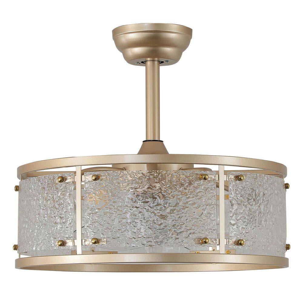20 in. Indoor Gold Flush Mount Boho Enclosed Acrylic Ceiling Fan with Light and Remote Control 6-Speed Reversible Motor price history on PriceWatchPro