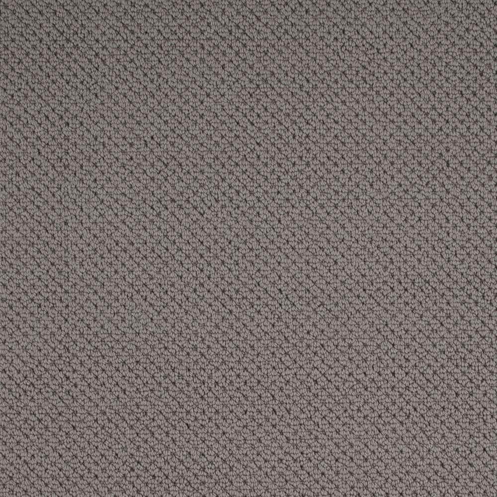 8 in. x 8 in. Pattern Carpet Sample - Abbotts Gate -Color Ash price history on PriceWatchPro