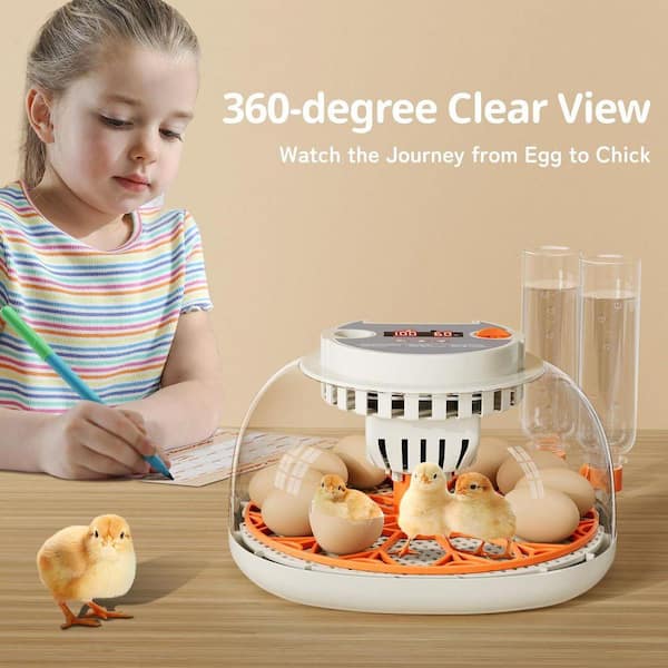 EGG INCUBATOR 最大12個用 自動湿度管理 KIWDZFU 12 Egg Incubator with Temperature Humidity Display