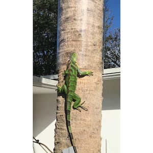 48 in. x 16 in. Outdoor Clear Tree Wrap Kit for Iguana Deterrence