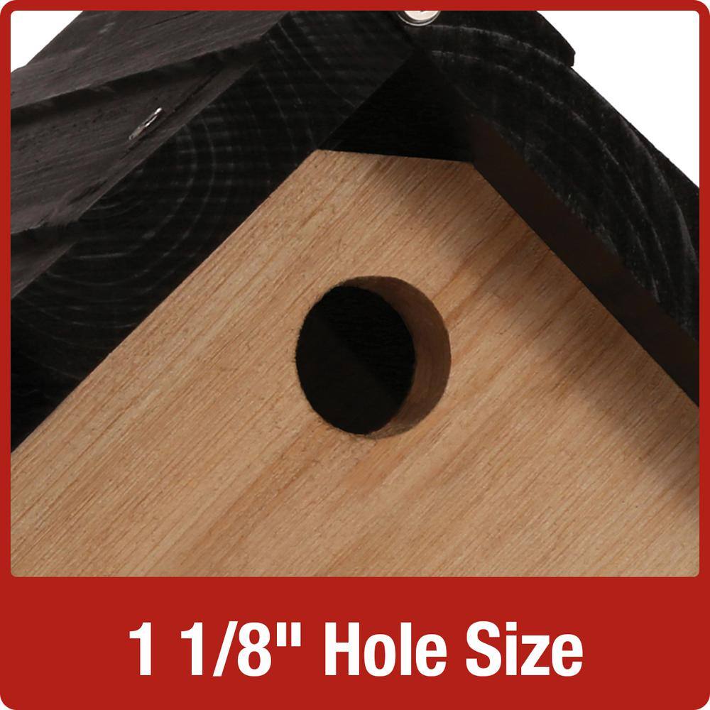 Nature's Way Cedar Hanging Wren Bird House with Black Roof