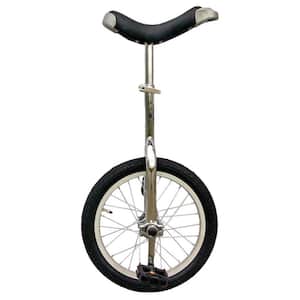 Chrome 16 in. Unicycle with Alloy Rim