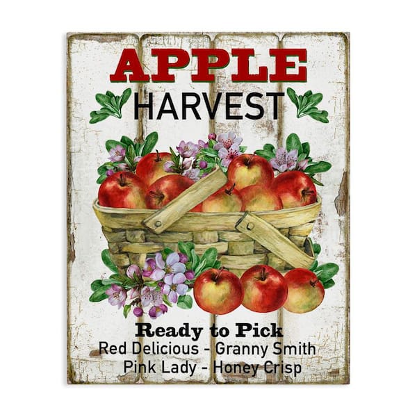 Stupell Industries Fresh Apple Harvest by Creatif Belle Unframed Food Graphic Art Print 48 in. x 36 in.