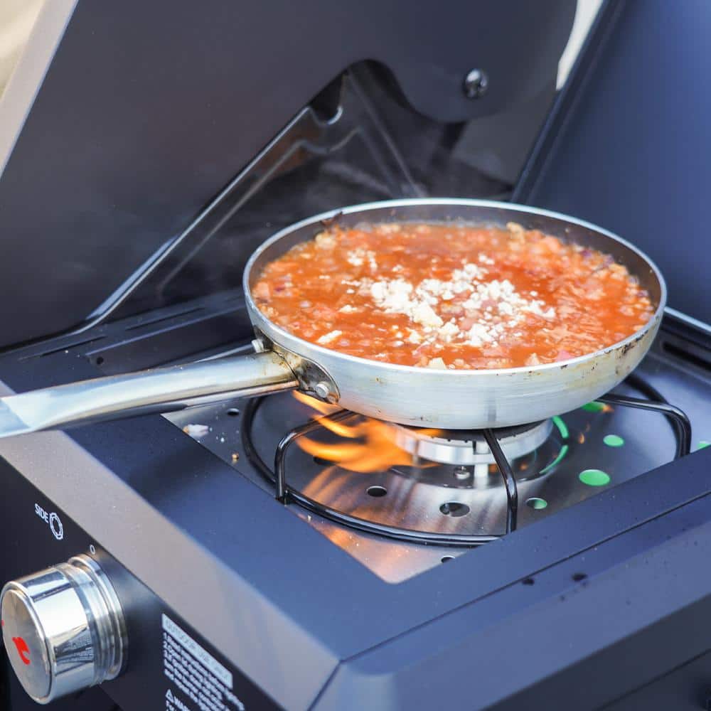 Mesa Black Stainless Steel 4-Burner Propane Gas Grill with Side Burner