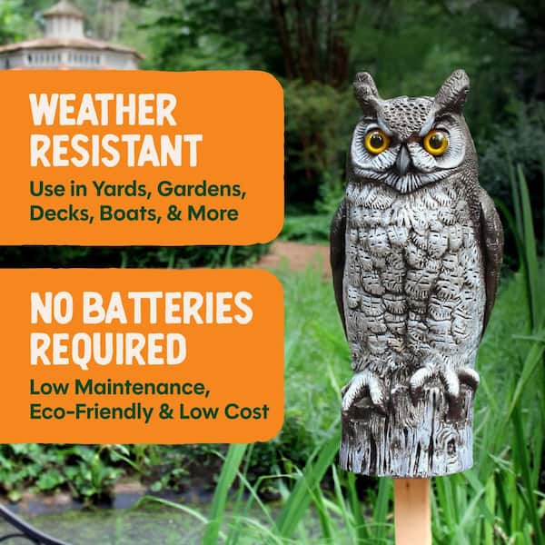 Dalen Great Horned Owl Decoy - 16 in. Lifelike Scarecrow Bird