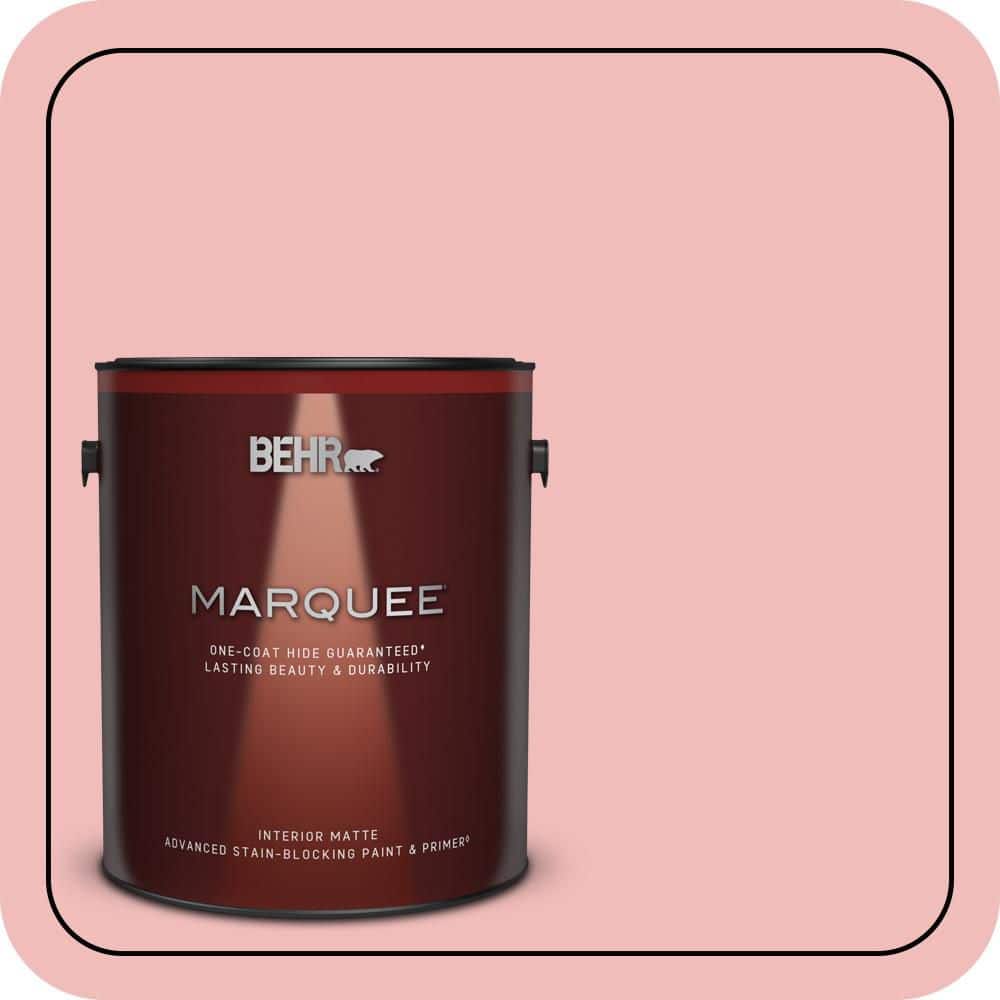 1 gal. #CE-01 Alpenglow Matte Interior Paint & Primer price history on PriceWatchPro