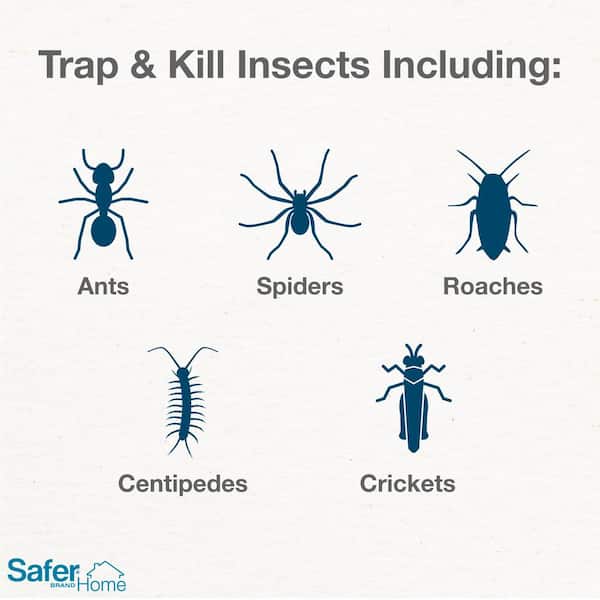 https://images.thdstatic.com/productImages/f1368280-9480-4107-9775-5c61b591de56/svn/white-safer-brand-insect-traps-sh400-e1_600.jpg