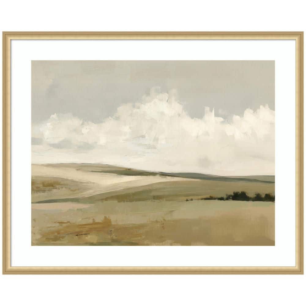 "Florence ""Whispering Meadows I"" by Amy Lighthall Landscape Framed Art Print 34 in. x 42 in." price history on PriceWatchPro