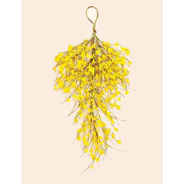 Photo 1 of 28 in. Forsythia Teardrop