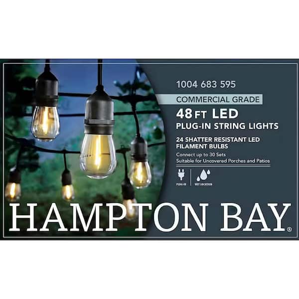 24-Light 48 ft. Indoor/Outdoor Plug-In Filament LED S14 Edison Bulb String-Light