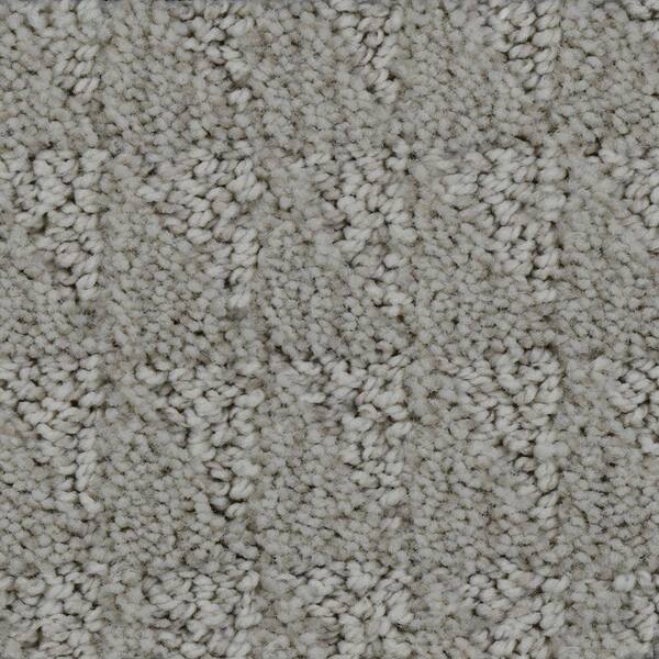 Home Decorators Collection Exquisite I - Color Branson Pattern 12 ft. Carpet