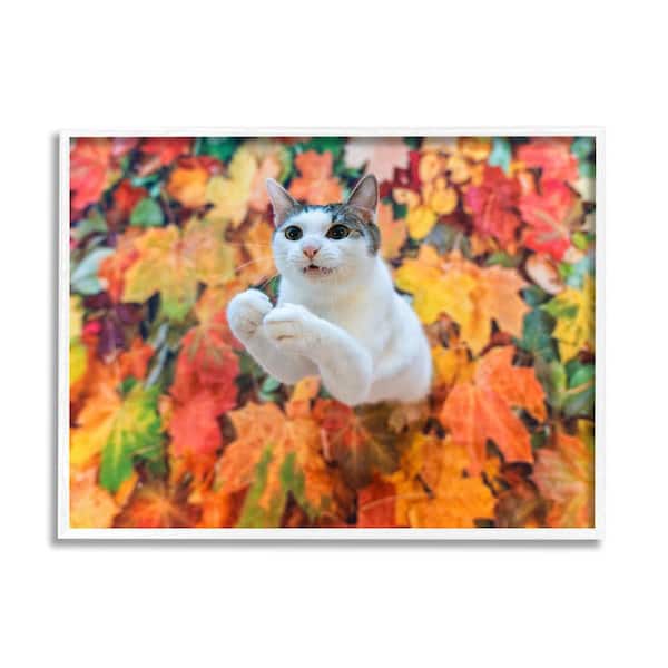 Stupell Industries Cat in Autumn Leaf Pile by Kazutoshi Ono 1-Piece Framed Graphic Print Animal Poster Art Print 20 in. x 16 in.