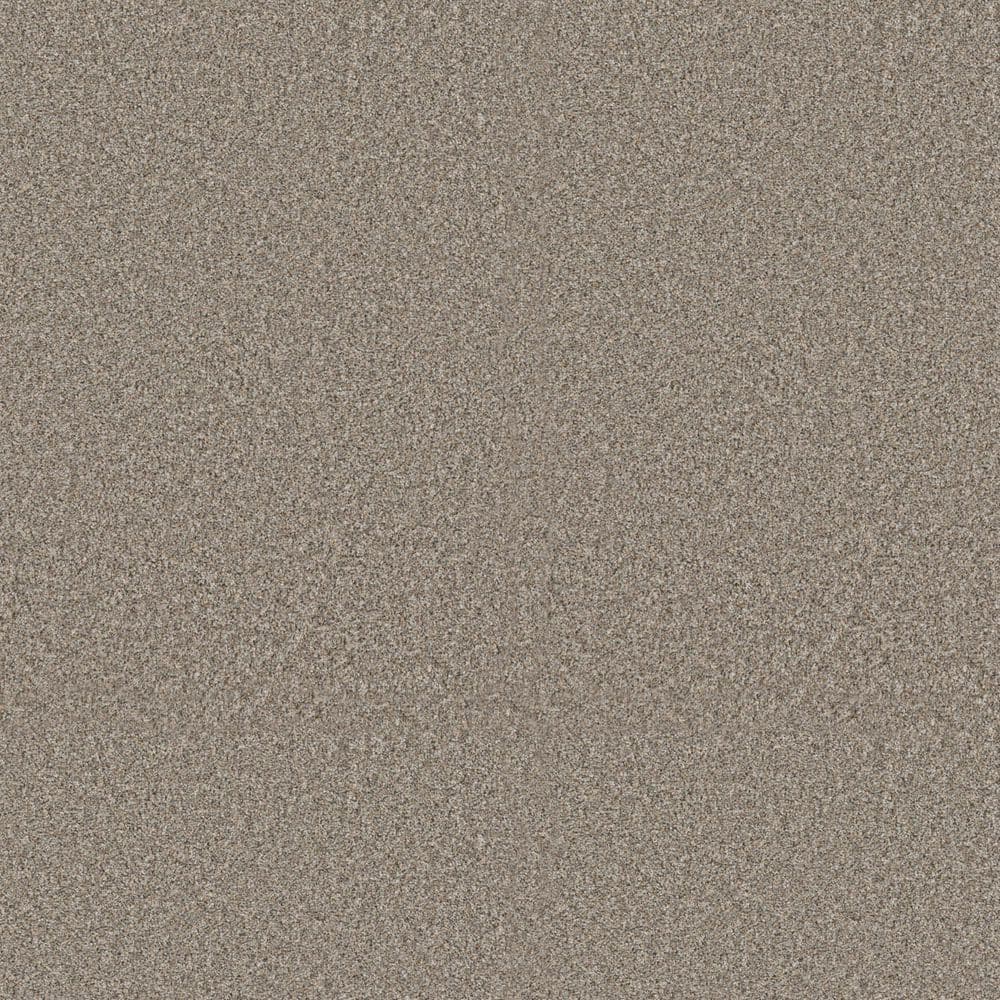 8 in. x 8 in. Texture Carpet Sample - Sunshine Cottage - Color Tavern price history on PriceWatchPro