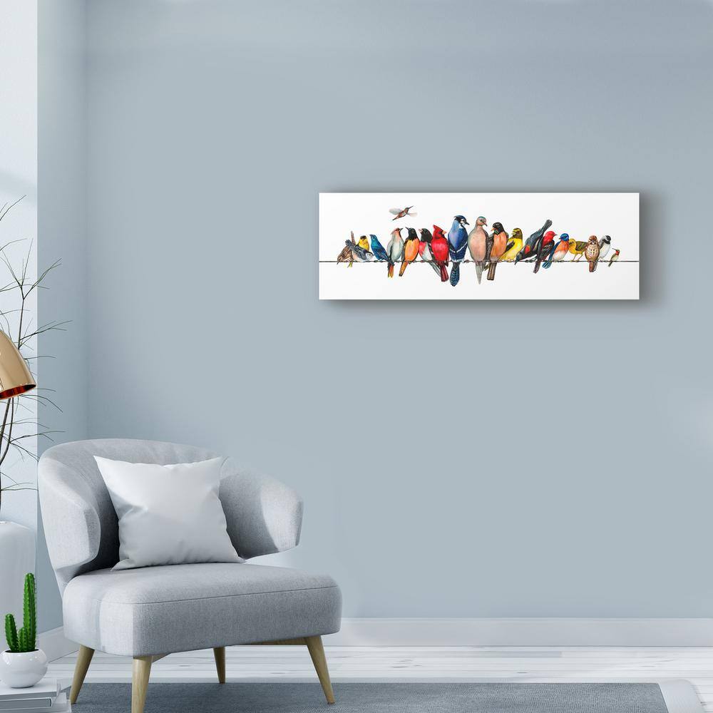 Colorful Tropical Birds on Wire Framed Canvas Print