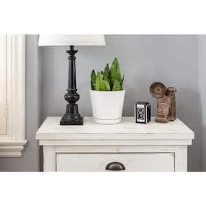 8.1 in. Piedmont Medium White Ceramic Planter (8.1 in. D x 7.6 in. H) with Drainage Hole and Attached Saucer