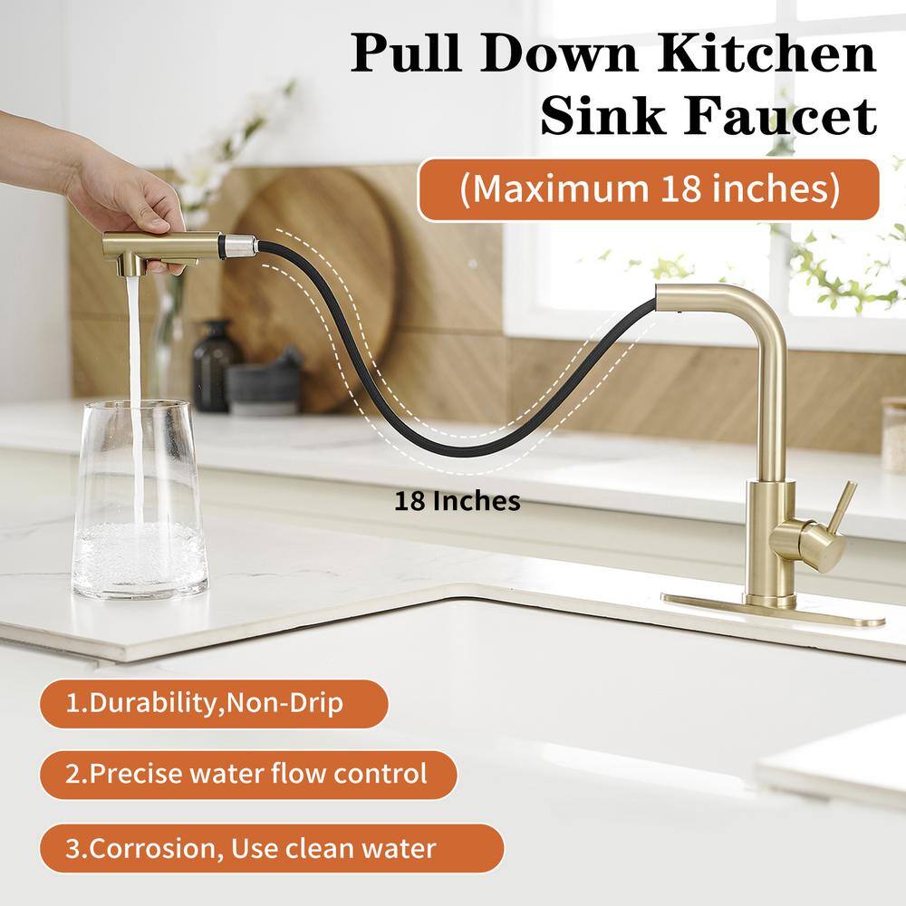 Brushed Gold Stainless Steel Pull-Out Kitchen Faucet