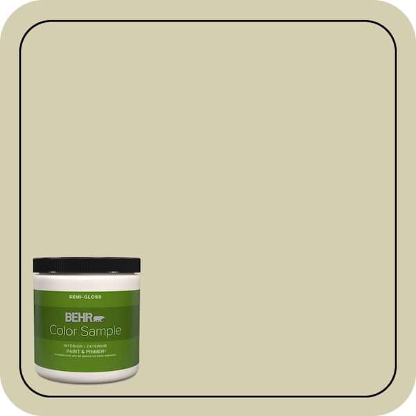 BEHR PREMIUM PLUS 8 oz. #MQ6-55 Pale Ivy Semi-Gloss Interior/Exterior Paint & Primer Color Sample