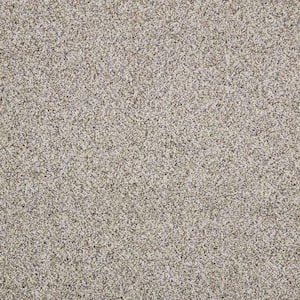 Maisie II  - Oriental Elegance - Beige 52 oz. Triexta Texture Installed Carpet