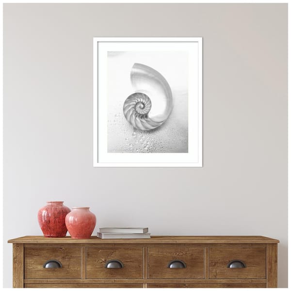 A Fully Chambered Nautilus Shell mounted to a vintage Sicilian Alabaster  Base