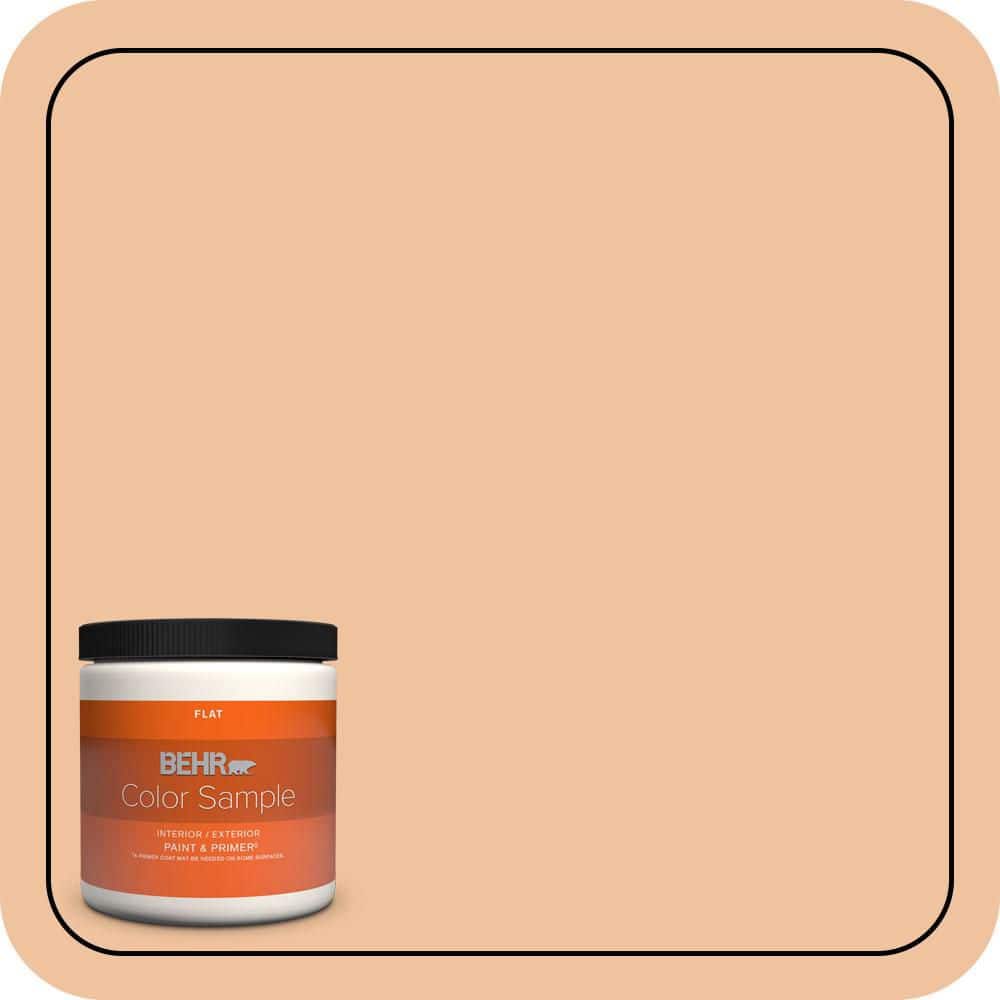 8 oz. #M220-3 Carving Party Flat Interior/Exterior Paint & Primer Color Sample price history on PriceWatchPro