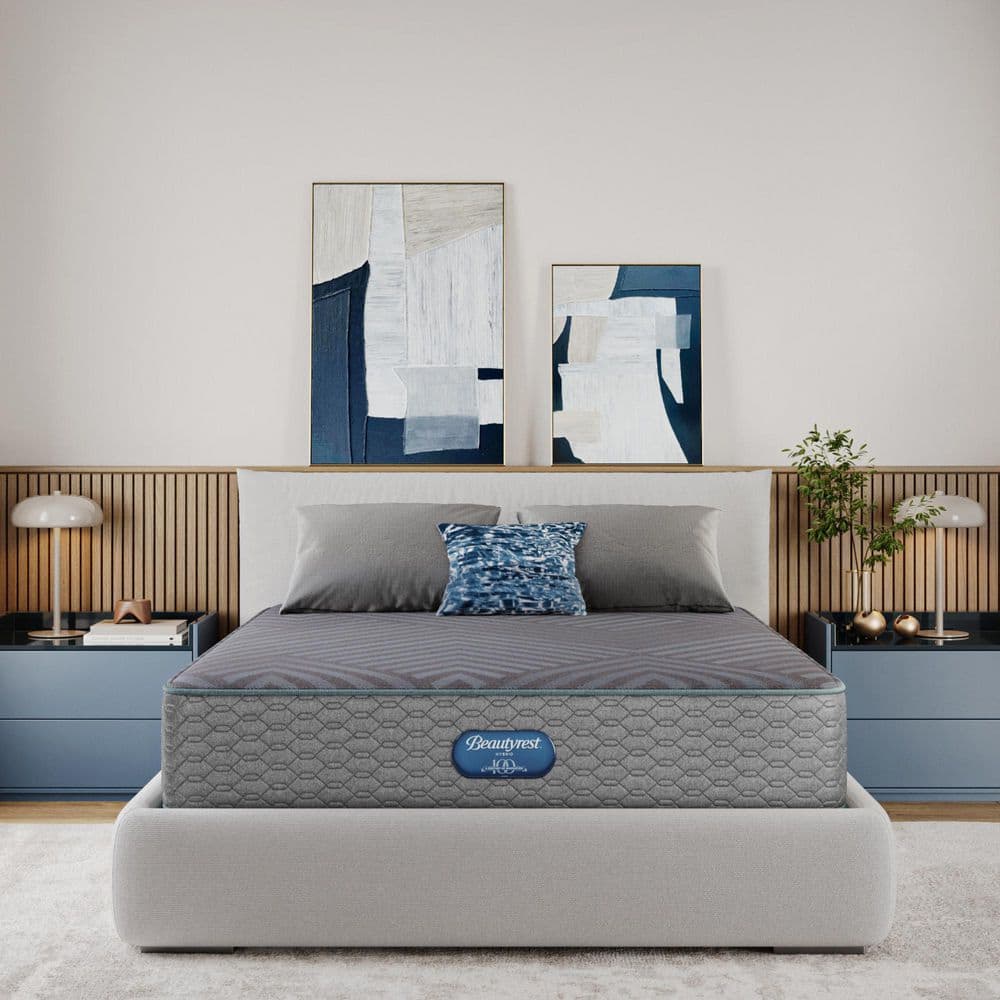 Regal Sleep Twin Medium Firm 12 in. Low Profile Mattress Set price history on PriceWatchPro