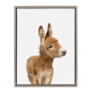 Sylvie "Animal Studio Burro" by Amy Peterson Framed Canvas Wall Art