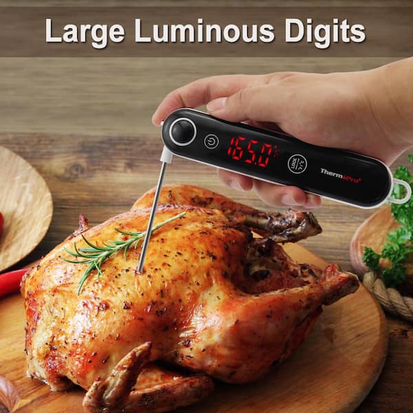 BBQ Dragon Digital Meat Thermometer with Probe - Instant Read Food  Thermometer for Cooking, Baking, Liquids, Candy - Waterproof Digital  Thermometer