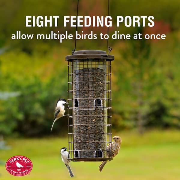 Perky-Pet® Squirrel Stumper Wild Bird Feeder