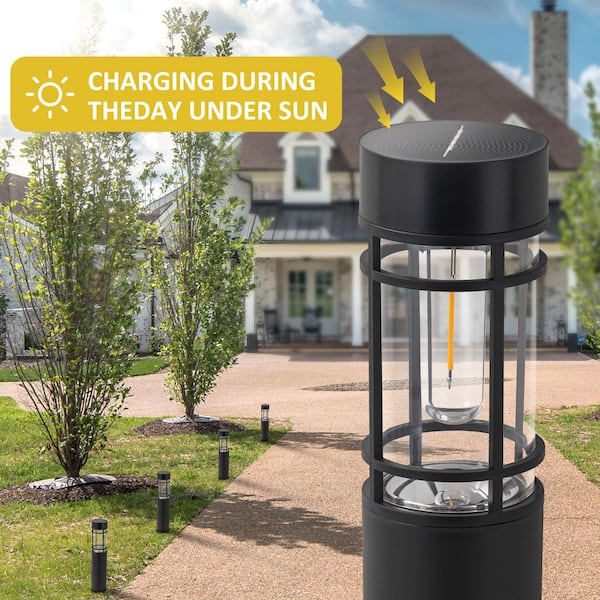 C Cattleya Black Solar LED Weather Resistant Outdoor Path Lights