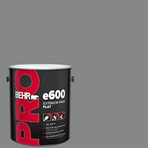 1 gal. #PPU25-17 Euro Gray Flat Exterior Paint