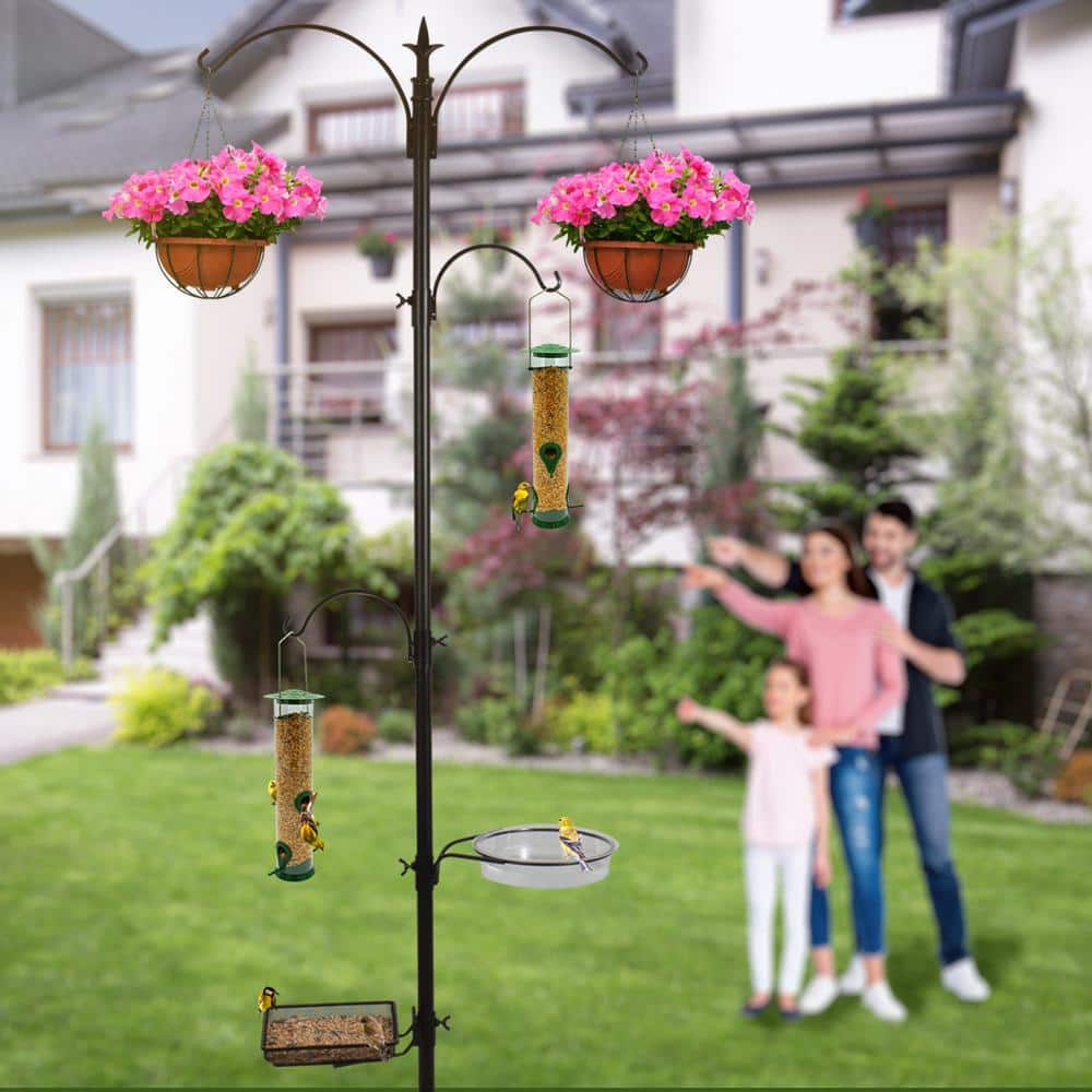 Tall Black Metal Bird Feeding and Bath Station with Hooks