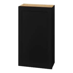 Avondale 24 in. W x 12 in. D x 42 in. H Ready to Assemble Plywood Shaker Wall Kitchen Cabinet in Raven Black